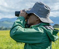 Man birdwatching