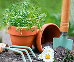 Gardening tools