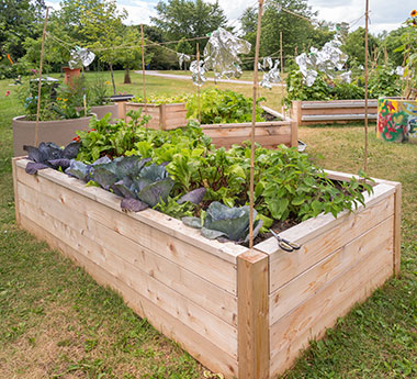 Raised bed garden