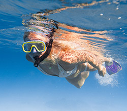 Snorkeling