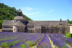 Abbaye de senanque