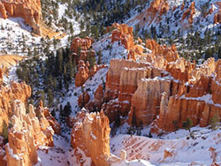 Snow on the hoodoos in Bryce National Park