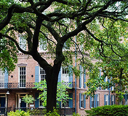Savannah architecture