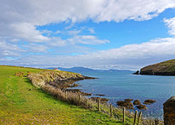 Beautiful Dingle coast