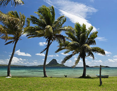 Palm trees and beautiful beach in Fiji