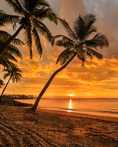 Sunset over the ocean with palm treees in Fiji
