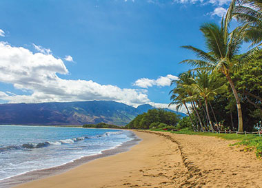 Beautiful beach with palm trees, Maui, Hawaii