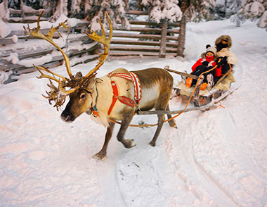 Reindeer pulling sleigh
