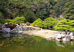 Shikoku garden