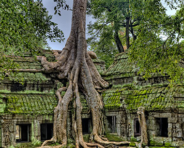 Ancient Siem Reap