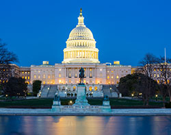 U.S. Capitol at Night