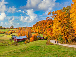 Fall color and farm in Vermont