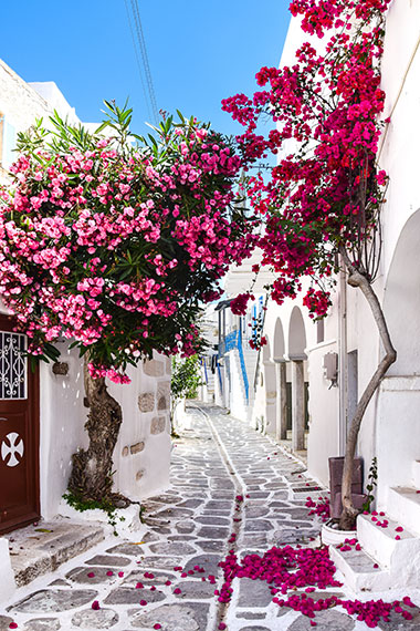 White-washed streets, Paros