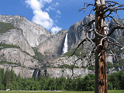 Yosemite Falls